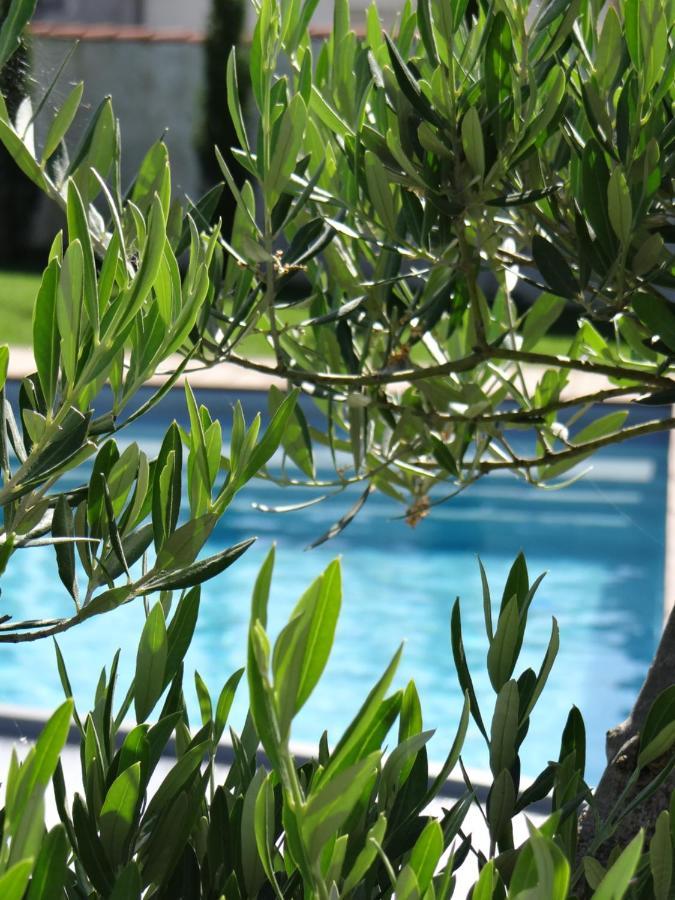 Les Marguerites Bed & Breakfast Champdolent Exterior foto